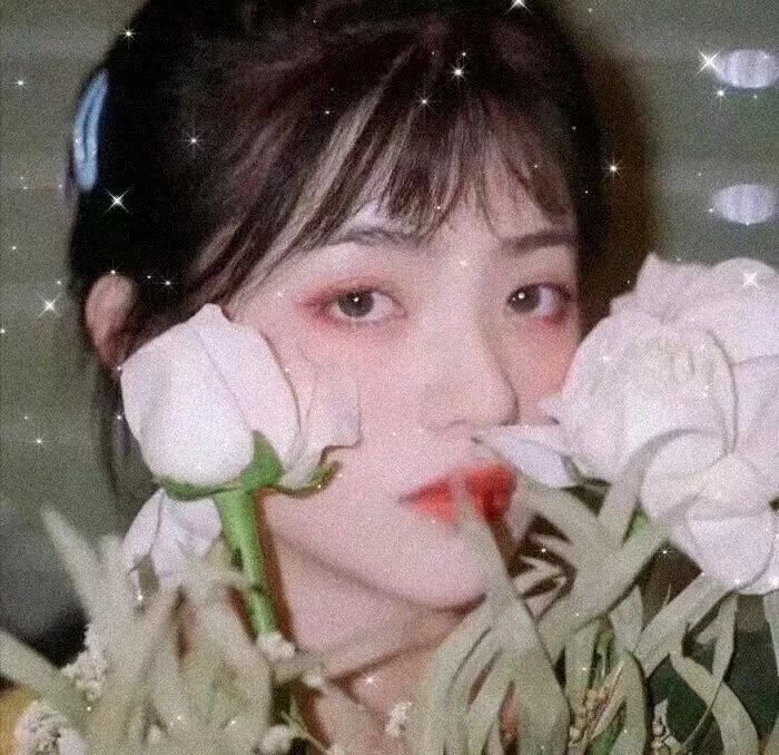 美人依旧