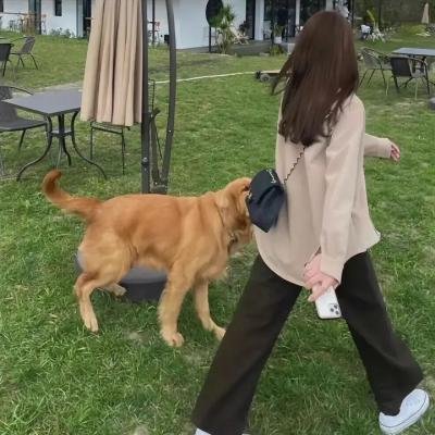 律政女杰莉迪亚第二季